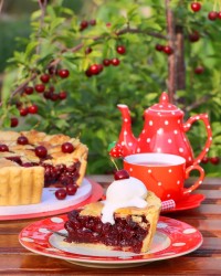 پای آلبالو