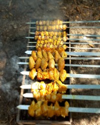 یک روز خوب در طبیعت در کنار عزیزانم