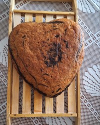 کیک پنبه ای زبرا