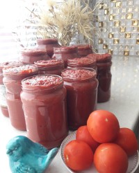 رب خونگی خودم پز?