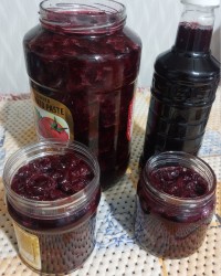 مربا وشربت آلبالو❤️