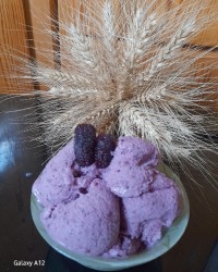 بستنی شاه توت