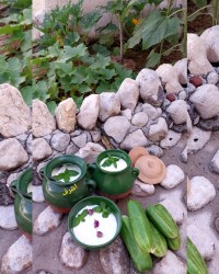 ماست محلی وخیارمحلی