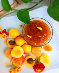 مارمالاد زردآلو