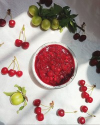 ترشک آلبالو