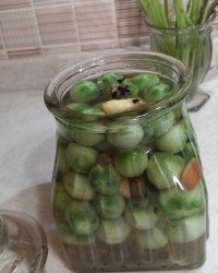 ترشی گوجه نارس ورقی