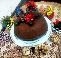 یک روز خوب با کیک کاکائو