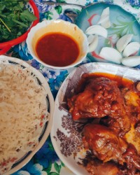 مرغ آلبالویی