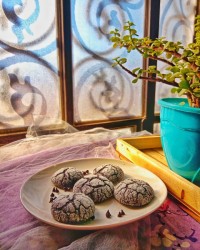 کوکی تَرَک دار