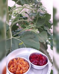 مربا هلو ومرباشلیل