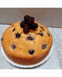 کیک میوه ای شاتوت