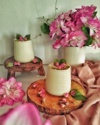 پودینگ وانیلی