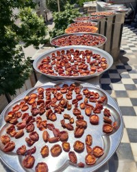 برگه آلوخشک