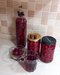 کمپوت آلبالو