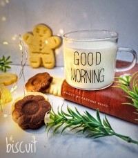 بیسکوییت کاکائویی