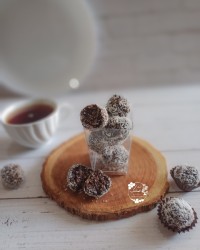 ترافل رژیمی