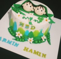 کیک دوقلو ها