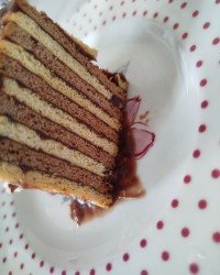 کیک یخچالی عالی و خوشمزه