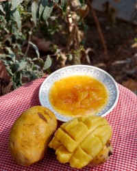 مربای انبه