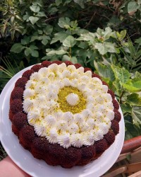 کیک شکلاتی مغز دار