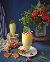 پاناکوتا دو رنگ