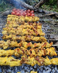 کباب در طبیعت