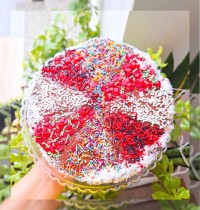 کیک دبل چاکلت نرم