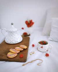 شیرینی زبان گربه