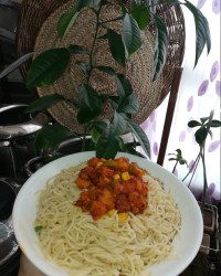 ماکارونی.استوری م رو ببینید لطفا?