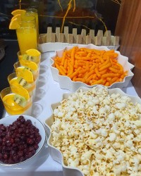 پاناکوتا وژله 