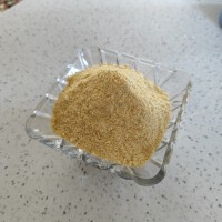 پودر سوخاری