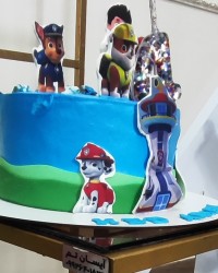 کیک تولد
ارین جان 