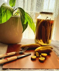 خیارشور صنعتی