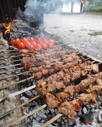 کباب در طبیعت (لطفاً ورق بزنید)
