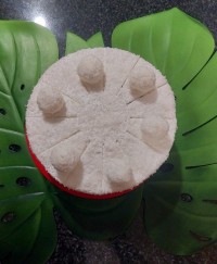 کیک رافائلو