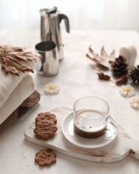 بیسکوییت کاکائویی