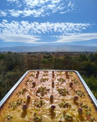 سلام دوستای عزیزم وقتتون بخیر 
کیک باقلوا 
کیک شربتی