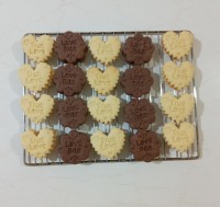 بیسکوئیت وانیلی و شکلاتی