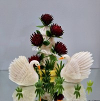 پرنده با شلغم