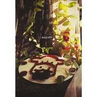 پاستیل انار