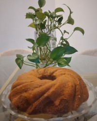 کیک پرتقالی شکلاتی