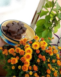 حلوا سیاهِ گردوییِ کردکوی