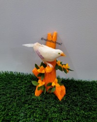 پرنده با شلغم