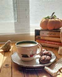 کوکی شکلاتی سلامت 