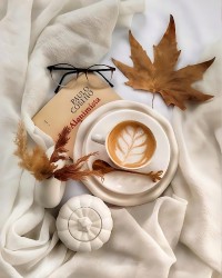 به سپیدی نور