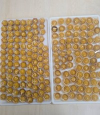 حلوا زغفرانی 