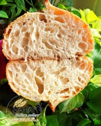 نان کلاسیک خمیرترش