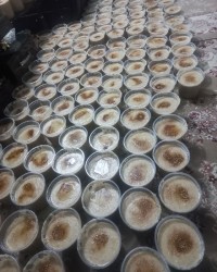 حلیم نذزی