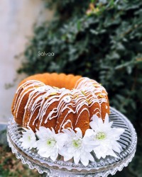 بهشت آغازشد ..