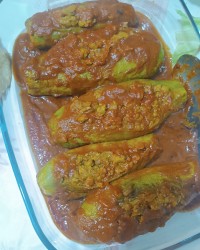 کدو سبز شکم پر